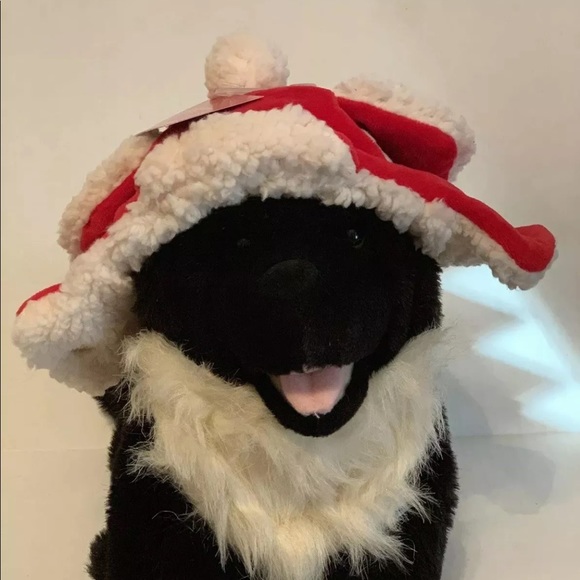 Wondershop at Target Other - WONDERSHOP AT TARGET DOG RED SANTA HAT WITH BEARD